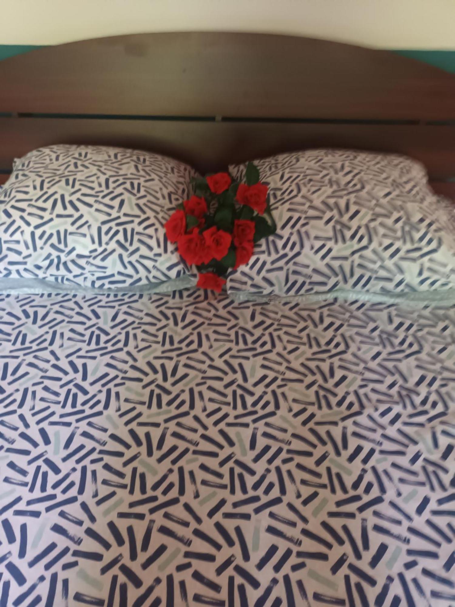 Lovely Flowers In Mount Lavinia Dehiwala-Mount Lavinia Luaran gambar