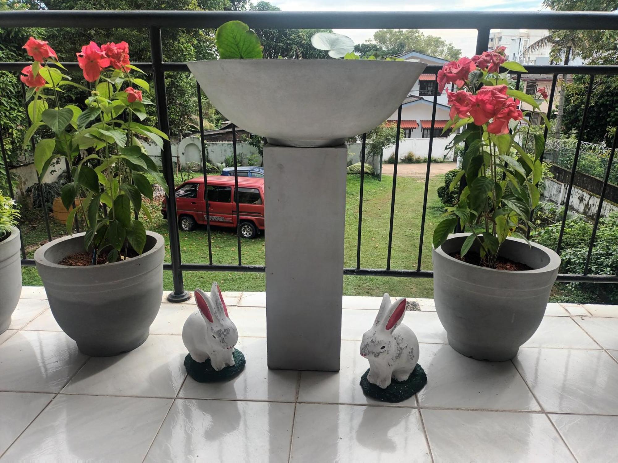 Lovely Flowers In Mount Lavinia Dehiwala-Mount Lavinia Luaran gambar