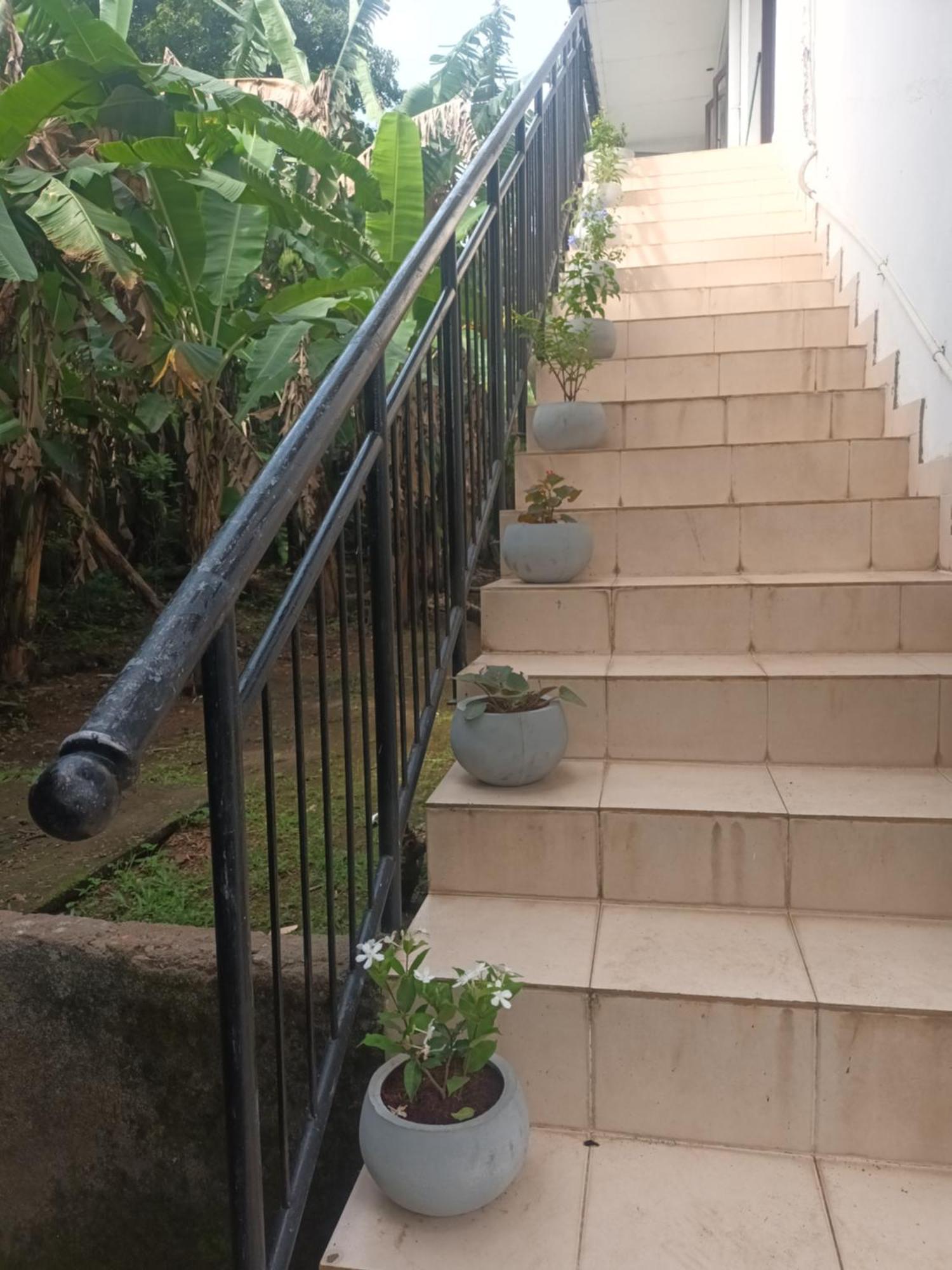 Lovely Flowers In Mount Lavinia Dehiwala-Mount Lavinia Luaran gambar