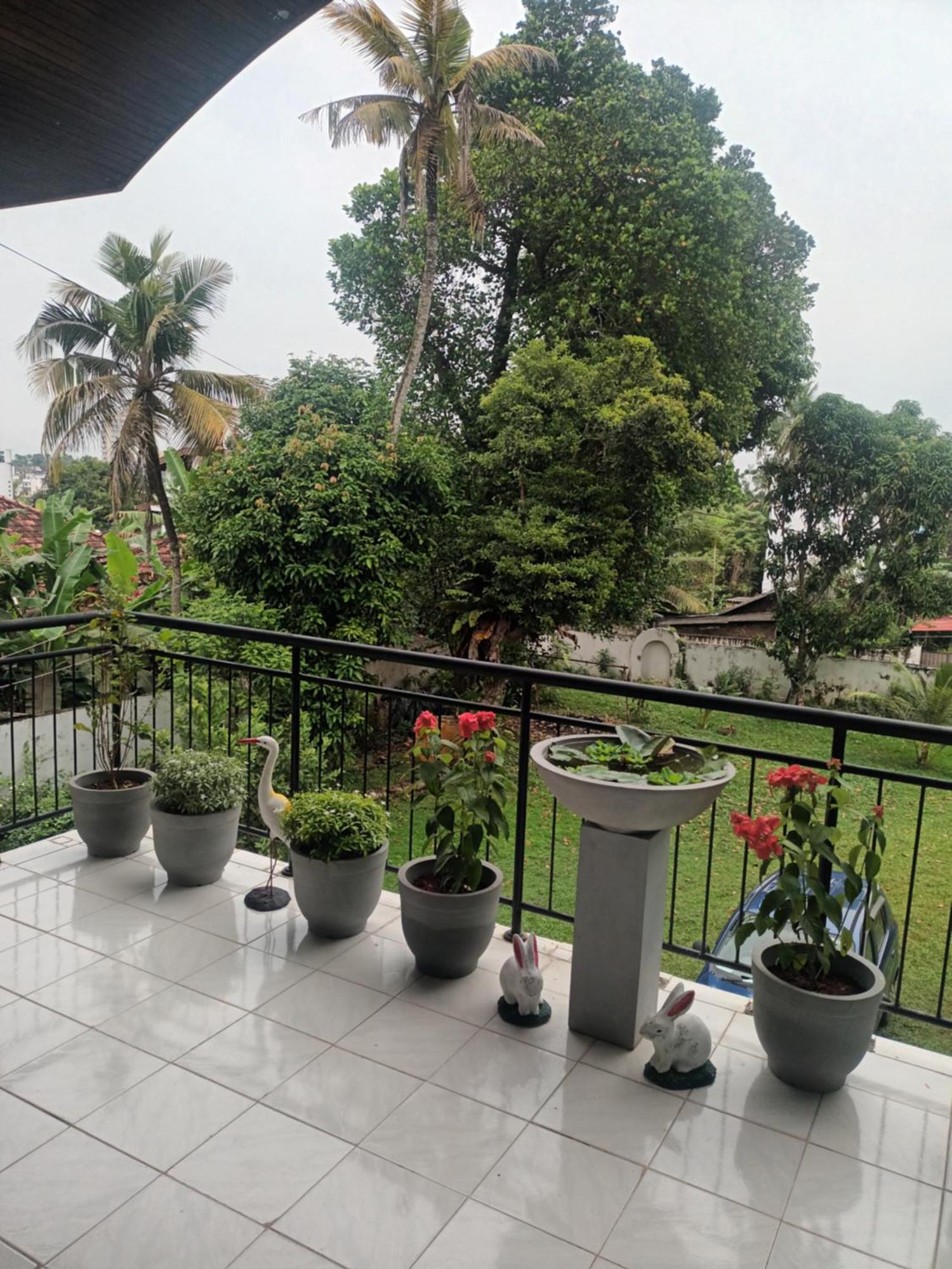 Lovely Flowers In Mount Lavinia Dehiwala-Mount Lavinia Luaran gambar