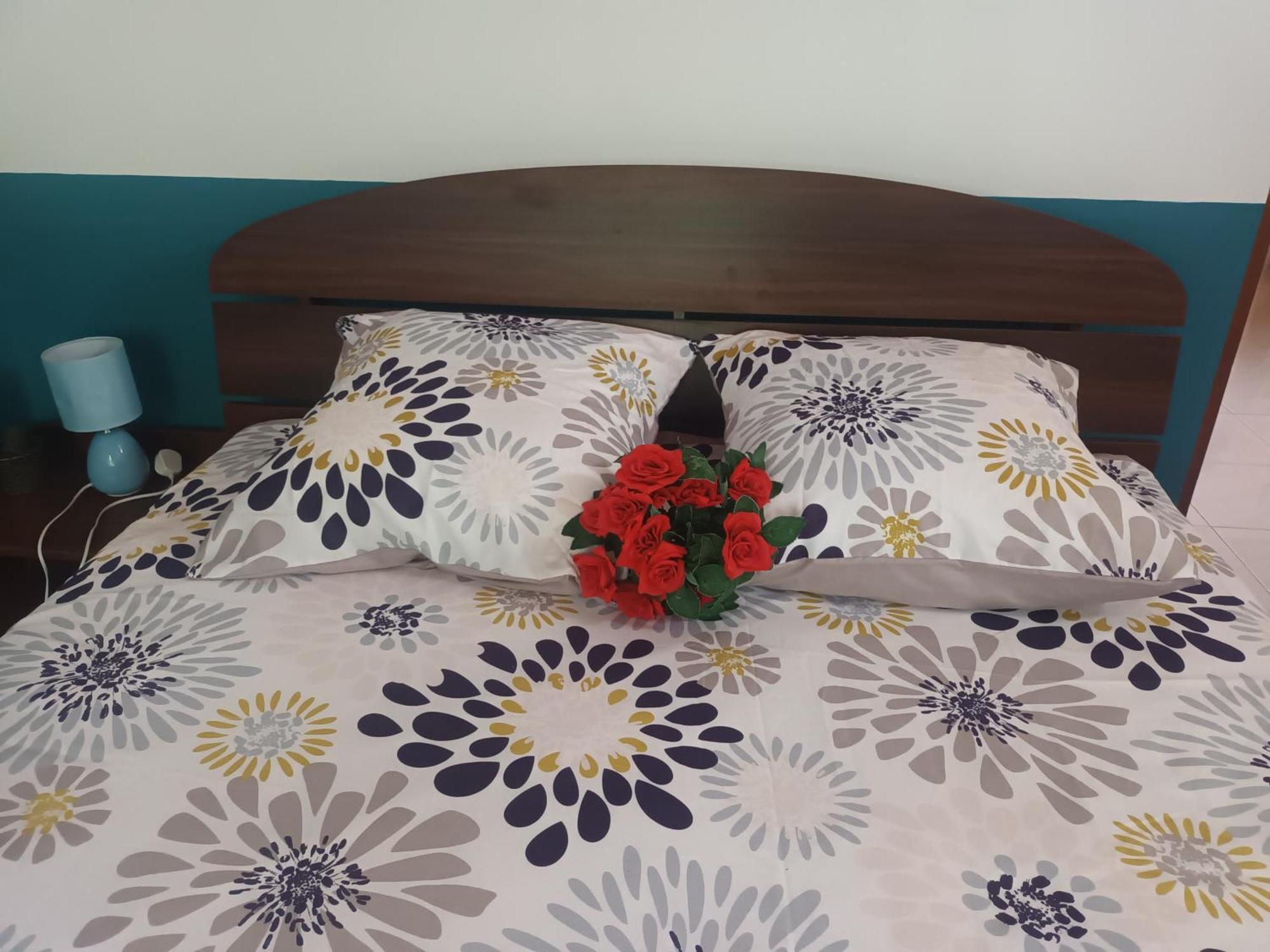 Lovely Flowers In Mount Lavinia Dehiwala-Mount Lavinia Luaran gambar