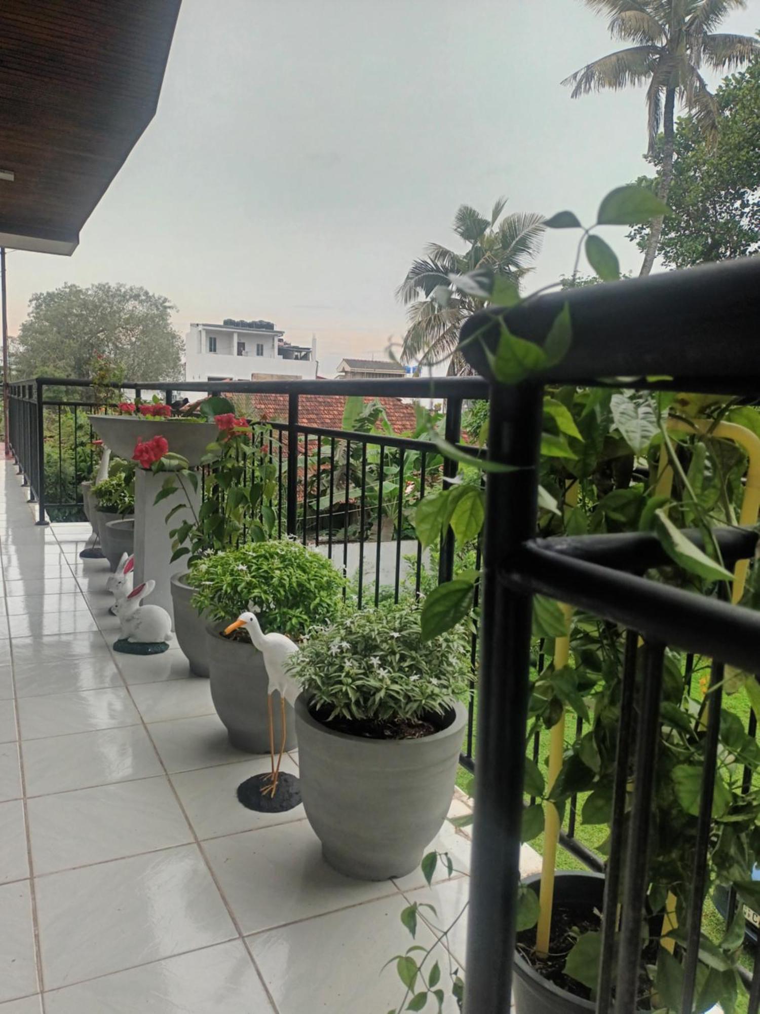 Lovely Flowers In Mount Lavinia Dehiwala-Mount Lavinia Luaran gambar